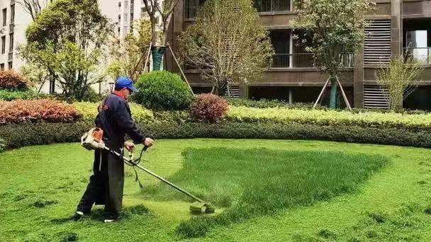 綠化養(yǎng)護(hù)17