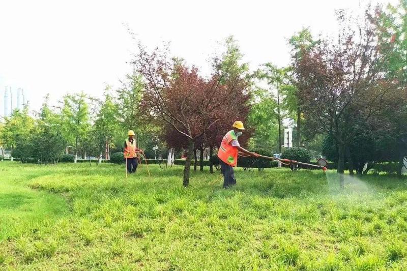 綠化養護5
